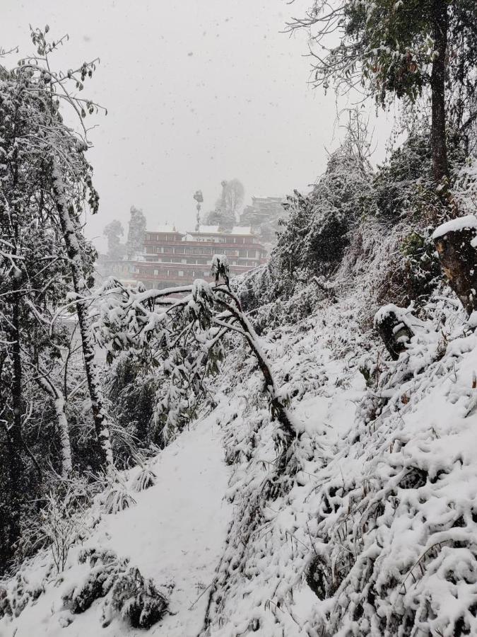 Mountain Chalet Darjeeling  Dış mekan fotoğraf